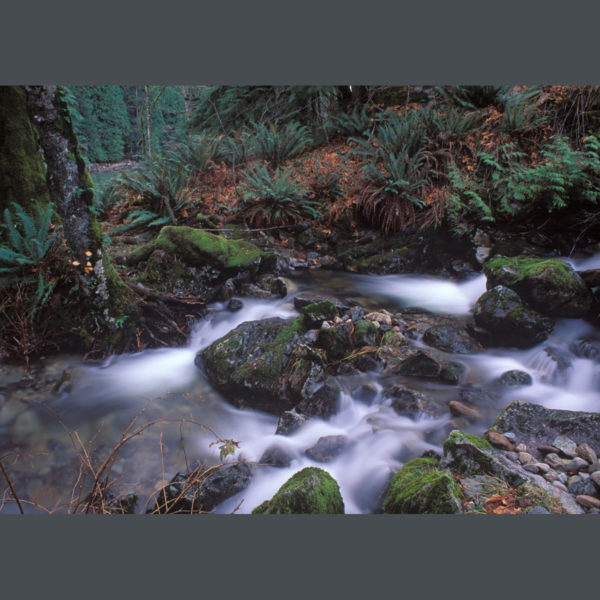 Mountain-Stream-sfw