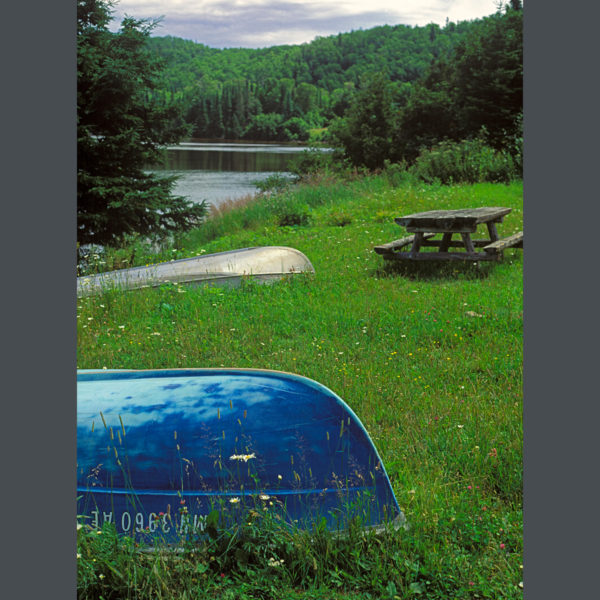 Lakeside-Picnic-Spot-sfw-(1)