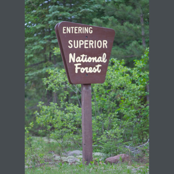 Superior-Forest-Sign-sfw-(1)