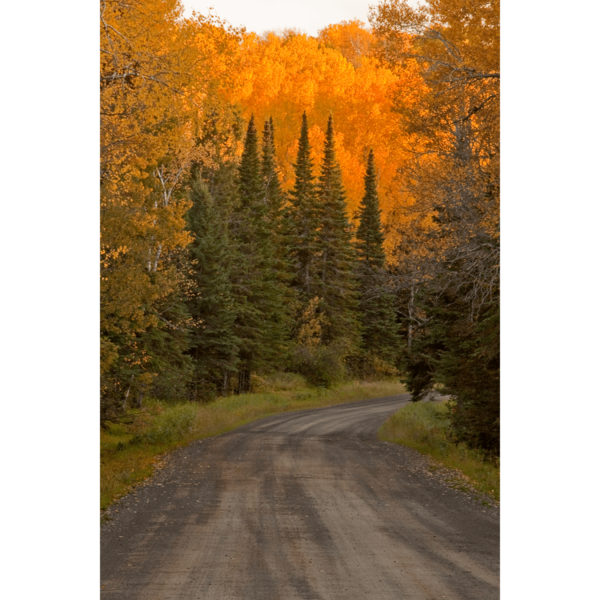 Arrowhead-Pines-sfw-min